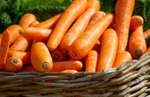 В Калининградской области резко подорожали морковь, свёкла и капуста
