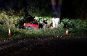 Пьяный калининградец на “Ауди” на большой скорости вылетел в кювет и врезался в дерево