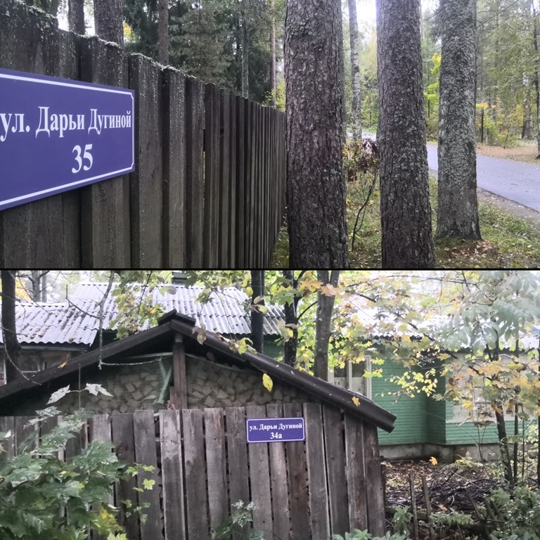 Жители Комарово самостоятельно переименовали одну из улиц в честь Дарьи Дугиной. Беглов молчит
