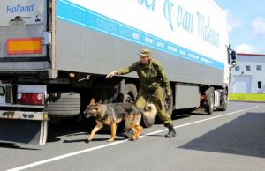Из Польши и Литвы в Калининградскую область за сутки въехало 170 грузовиков