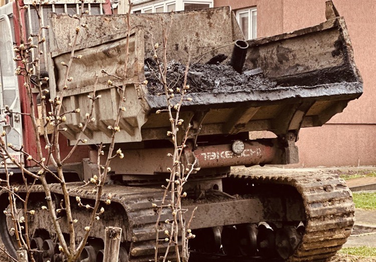 Для расчистки ручья и пруда в Калининграде пришлось заказывать спецтехнику в Германии