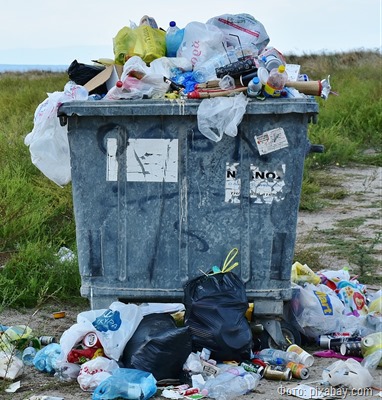 Общественник Дмитриева заявила о дефиците урн для мусора в Петербурге