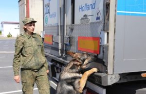 На территорию Калининградской области из Польши и Литвы прибыло 132 грузовика