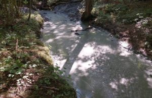 Чистую реку в Пионерском сделали грязной