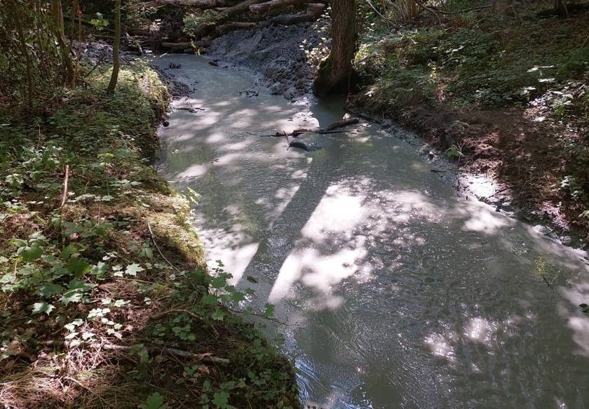 Чистую реку в Пионерском сделали грязной