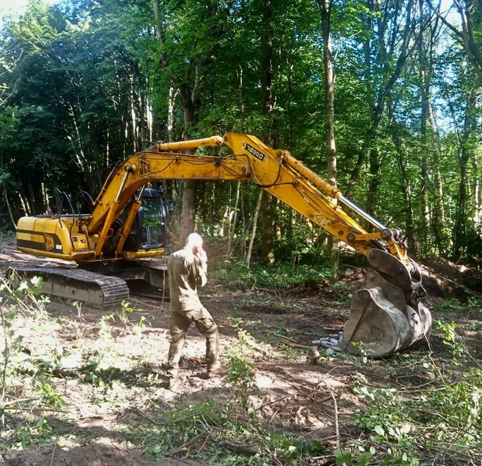 Калининградца поймали с поличным при незаконной рубке деревьев и порче почвы