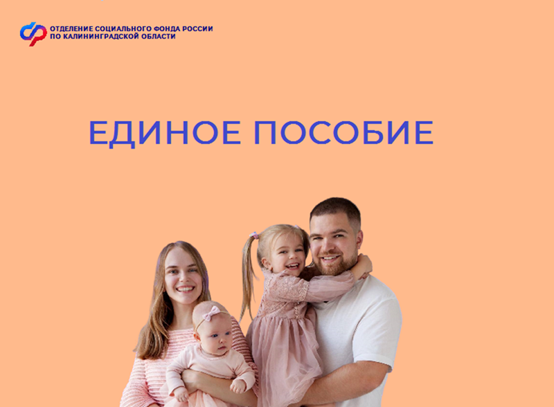 Неработающие родители могут получить единое пособие при соблюдении ряда условий