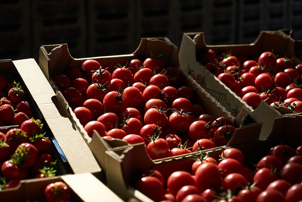 Россельхознадзор проверил более 50 тысяч тонн продукции при ввозе в Калининградскую область