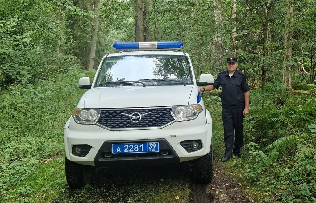 Полицейские помогли заблудившейся в лесу матери с ребёнком выбраться из чащи