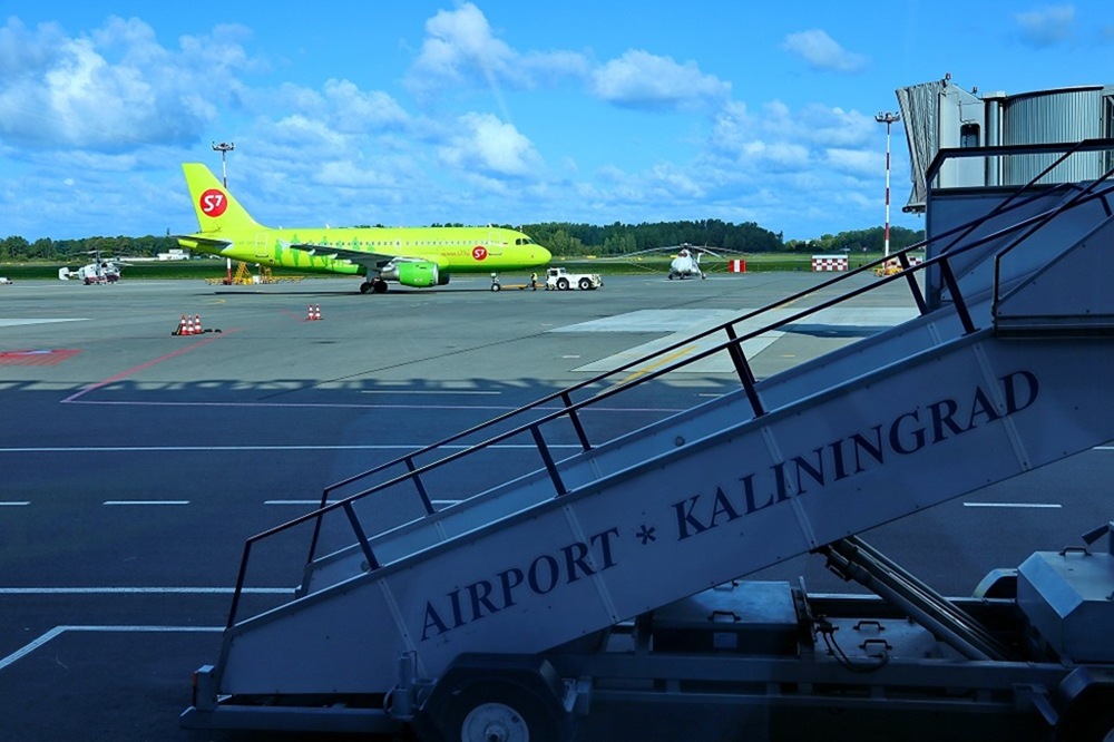 Сон, красота и янтарь: находки калининградской таможни