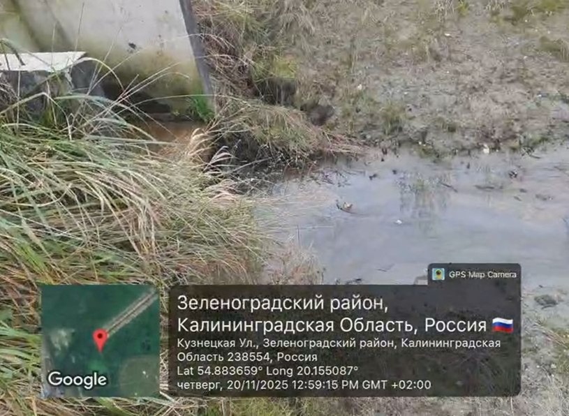 Снимок экрана 2025-11-21 142333