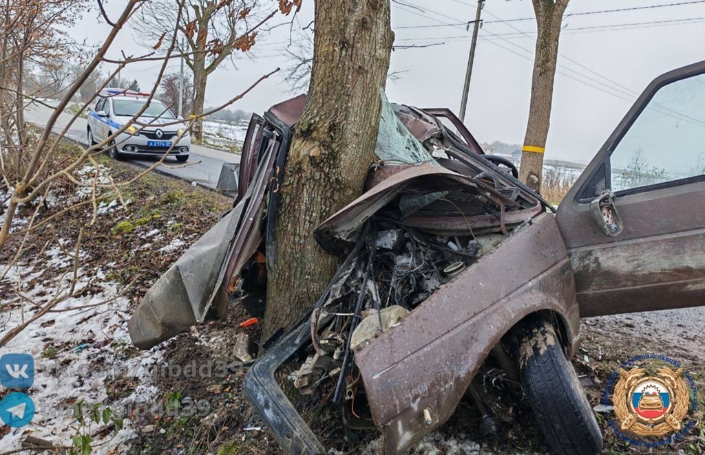 На трассе под Калининградом водитель врезался в дерево и пострадал