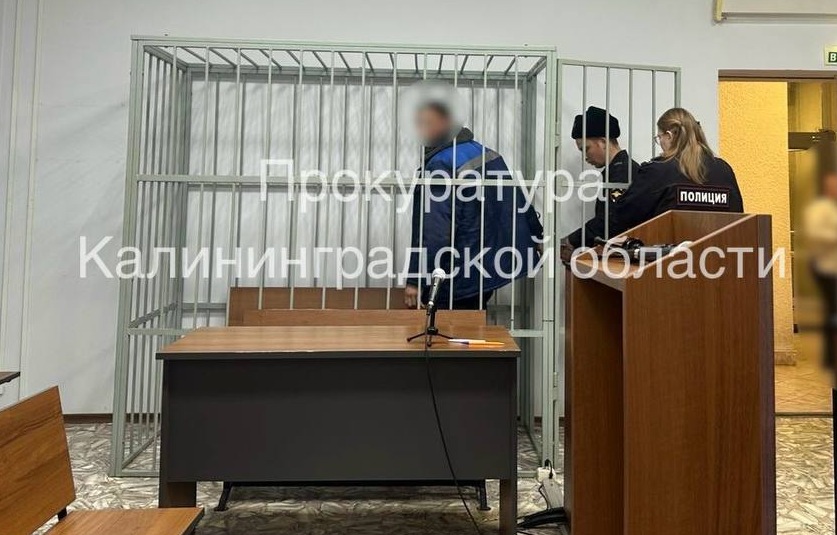 Житель Гурьевского района заключён под стражу за удар полицейского