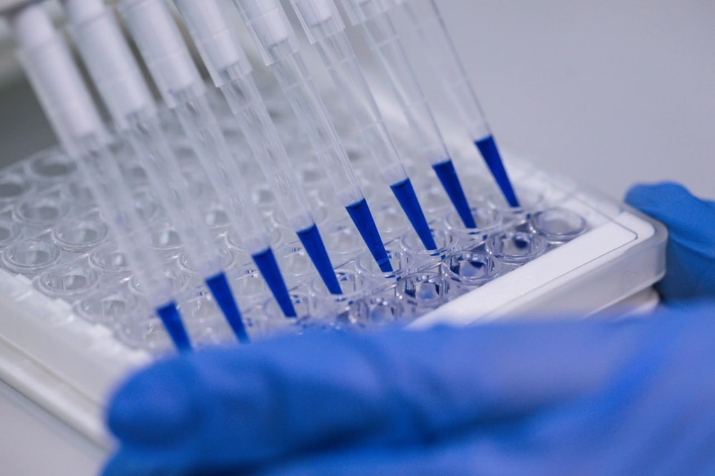 В кампусе &laquo;Кантиана&raquo; откроют лабораторию, где клетки будут выращивать по новой технологии